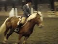 Julia riding Scarlett o/f class 1
