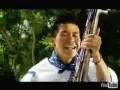 CUMBIA CUSINELA VANESSA MAE BY ARIES