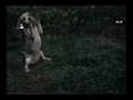 Hilarious clip from dumb and dumberer
