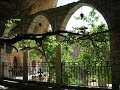 Syria's beauty - جورج وسوف - جمال سوريا