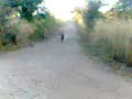 rally de baike... rally de baike...