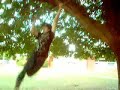 Day at the park part 1- the mighty fall