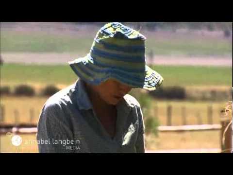 how to harvest garlic nz