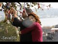 a?k yakar - agla sevdam 9.bölüm Final Dizi bitiyormu? a?k yakar - agla sevdam 9.bölüm Final Dizi bitiyormu?