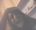 IvEtEs LoKaS IvEtEs LoKaS