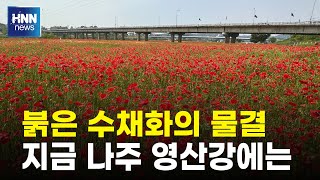 붉은 수채화의 물결