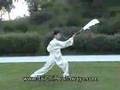 Taiji: Chen Tai Chi Guan Dao