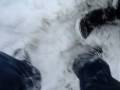 videos de ManEatingFicus - when to shut up