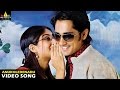 Oye Songs | Anukoledenadu Video Song | Telugu Latest Video Songs | Siddharth | Sri Balaji Video Oye Songs | Anukoledenadu Video Song | Telugu Latest Video Songs | Siddharth | Sri Balaji Video