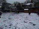 Playing in the snow