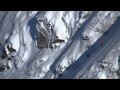Jølster 2011 - Pudder i skisenteret og på topptur