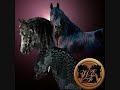 Friesians- Fields of Gold