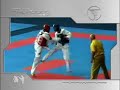 great martial arts moves!
