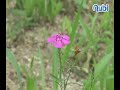 대전광역시 대덕구 송촌동 463번지에 위치해 있다. 대전 들머리에 있는 동춘당 공원은 송촌택지개발사업 때, 동춘당 송준길 선생의 별당이 자리잡고 있는 동춘당 일대, 즉 은진 송씨들이 모여 살았던 마을 1만7천여 평을 도심공원으로 만든 곳이다.