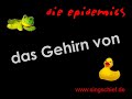 das Gehirn von
