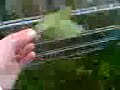 Sezer M��� Neuk�lln Gropiusstadt