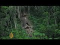 The search for Brazil's unknown Amazon tribe - 17 Jun 2008