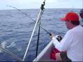 Valkyria Pesca -July 08-