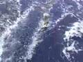 Départ des Bahamas et Gulf Stream - www.voilier-bahamas.com