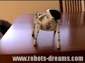 Robopet Robot Bloopers Robopet Robot Bloopers