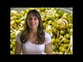 Health-Food-Sprouts-