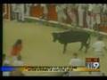 Lee Beckman Running With The Bulls in Pamplona, Spain 2005