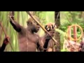 Ninjah - Zulu Hip Hop