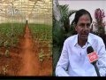 TRS leader K Chandrasekhar Rao doing wonders in his own farm field