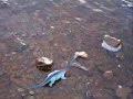 In Search Of ... The Loch Ness Monster