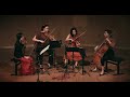 H. Villa-Lobos - Quatuor n°1 (VI. Saltando como um Saci)