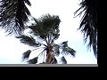 coconut-grove-lake-worth-lovin-spoonful-60s.html