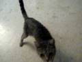 videos de MVI_2073.AVI