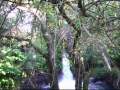 Cueva del jote por donde desemboca, al rio Bio-Bio, agua de canal de ragadio, en Negrete, 2 de 3