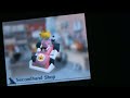 Nintendogs kennel