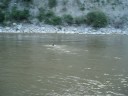 JAIMITO EN CHINCHIPE