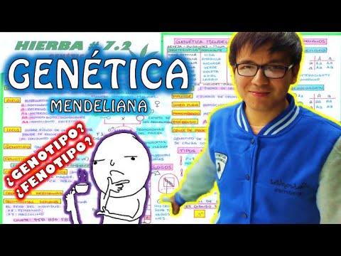 [ BIOLOGÍA FREE ] - GENETICA I | LEYES DE MENDEL 👉😍🌿