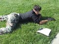 undergrad quest ii