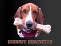 Rodney Reactions