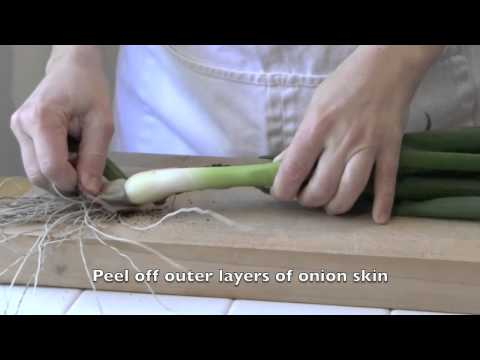 how to harvest egyptian walking onions