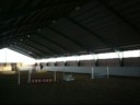 clear round 60 cm ( jag och Millan) clear round 60 cm ( jag och Millan)