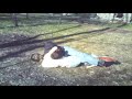 NSUF Episode 26 Dalton and Dillon fighting