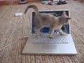 Only use for a Mac Computer