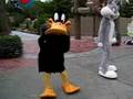 bugs vs daffy great adventure 2007
