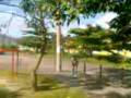 videos de Le parkour do Yan e Jeferson