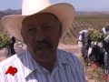 Health Officials in US Warn Migrants About Flu