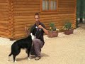 Habilidad canina \"Beso\"
