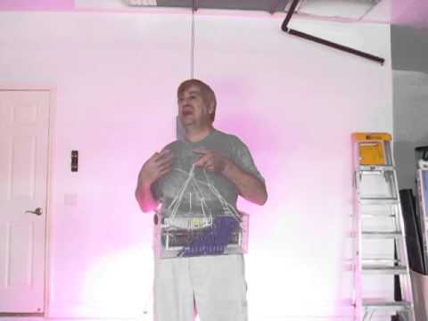 how to grow purple haze