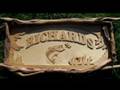 videos de timber signs signs.flv