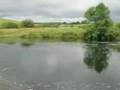 More angling in SW Scotland