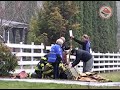 Emaciated horse rescued, then euthanized Emaciated horse rescued, then euthanized